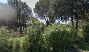 Zakarian Alexis AVOCAT à Biot