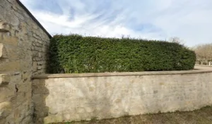 Ressouches Isabelle à Nesles-la-Vallée