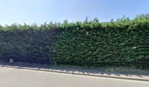 Soyez accompagné de notre Avocat Hoyé Bernard enregistré dans notre listing pour trouver votre Avocat autour de moi sur Dives-sur-Mer pour un conseil juridique, ou pour être défendu. Hoyé Bernard est un Avocat se situant à Dives-sur-Mer, 14160 au Zone […]